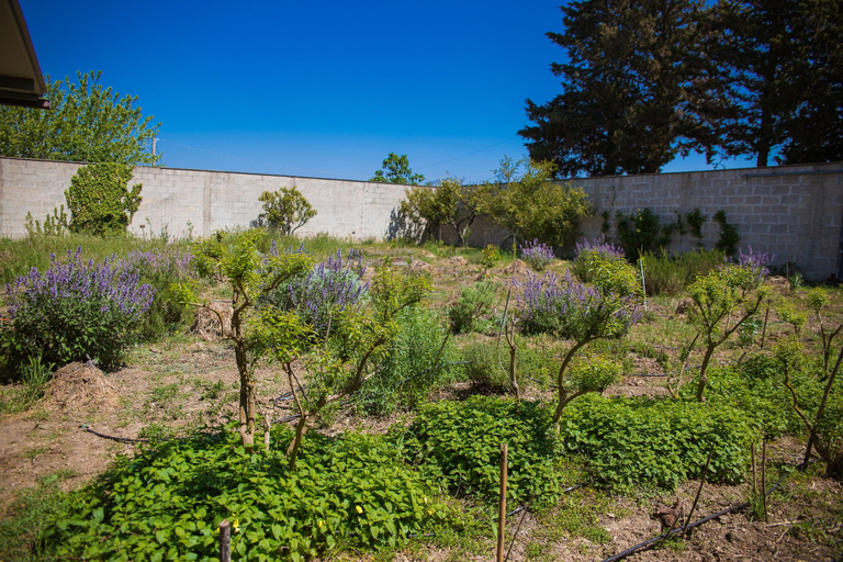 Exterior & Views, Agriturismo biologico Piccapane, Lecce