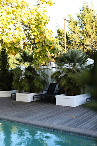 Sport & Beauty 2, Ashbourne Boutique Guesthouse, Cape Winelands