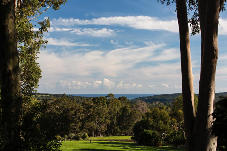 Others 5, Wildwood Valley, Busselton