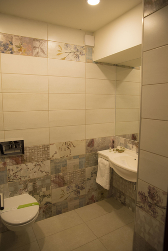 Bathroom 3, Hotel Olanesti, Livadia