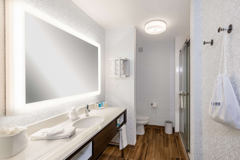 Bathroom 4, Hampton Inn & Suites Hopkinsville, Christian