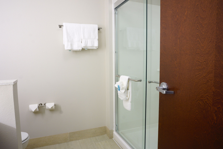 Bathroom 3, Holiday Inn Express & Suites OMAHA - MILLARD AREA, Douglas