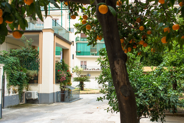 Exterior & Views 4, B&B Il Nido, Napoli