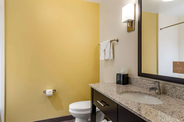 Bathroom 4, Sleep Inn Great Falls Airport, Cascade
