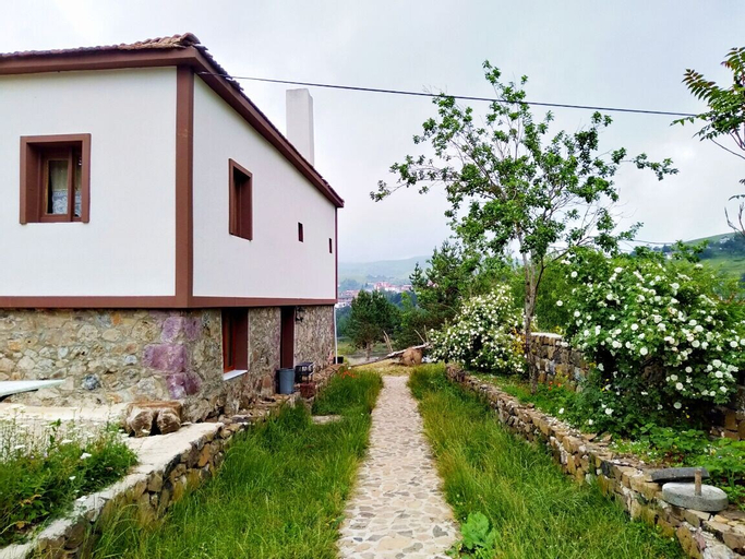 Exterior & Views 1, Tas Konak Butik Otel, Niksar