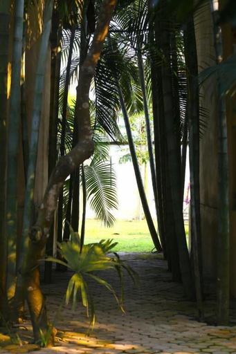 Others 5, Rhino Land Jungle Lodge, Narayani