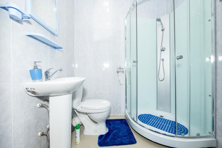 Bathroom 2, Ladomir Borisovo, South-Eastern