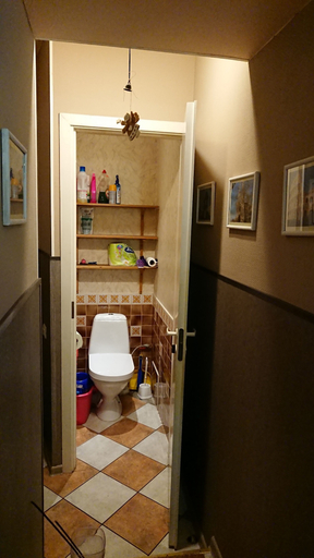 Bathroom 4, Guest house Kolomna, Sankt-Peterburg gorsovet