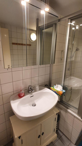 Bathroom 4, Brauereigasthof zur Munz seit 1586, Günzburg