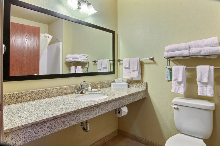 Bathroom 4, Cobblestone Inn & Suites - Winterset, IA, Madison