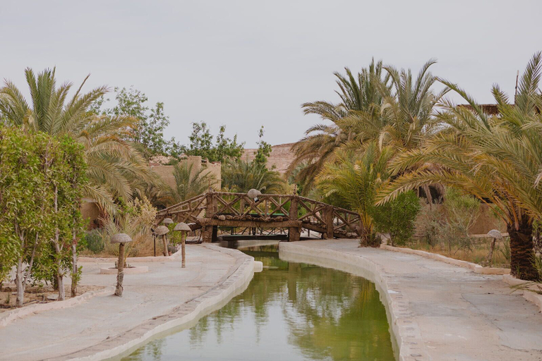 Exterior & Views 2, Siwa Shali Resort, Siwa