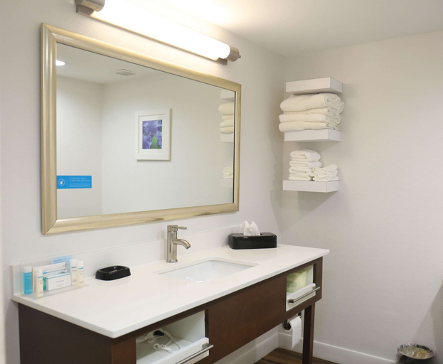 Bathroom 4, Hampton Inn Sumter, Sumter