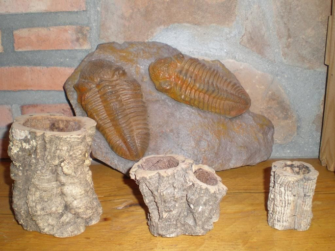 Others 4, Las Casas Rurales María Victoria, Ciudad Real
