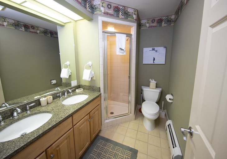 Bathroom 4, Solitude Village at Okemo by Vail Resorts, Windsor