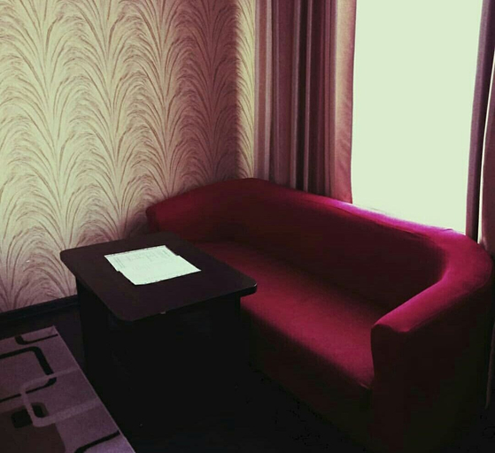 Others 5, Home Hotel Astana, Astana City