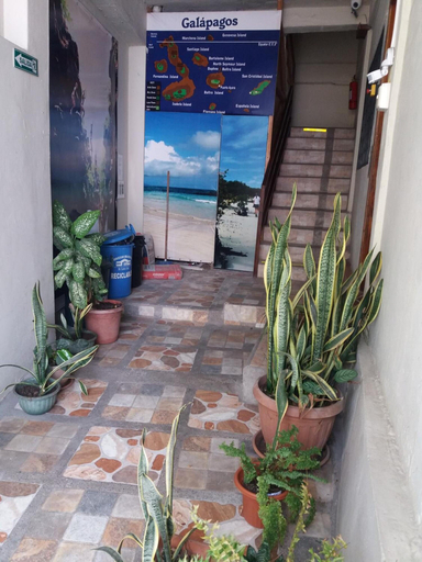 Others 5, Hostal Miconia, Santa Cruz
