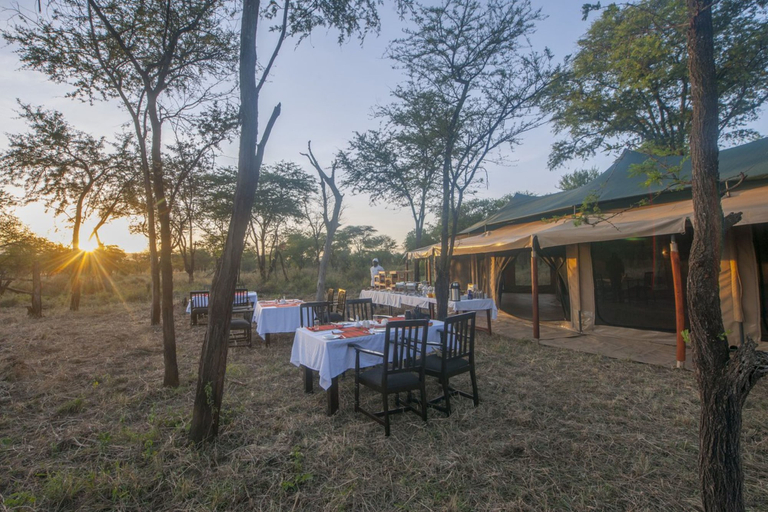 Food & Drinks 5, Acacia Seronera Luxury Camp, Serengeti