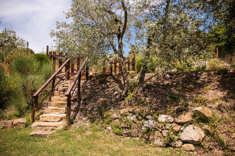 Property grounds 4, La Ruota, Arezzo