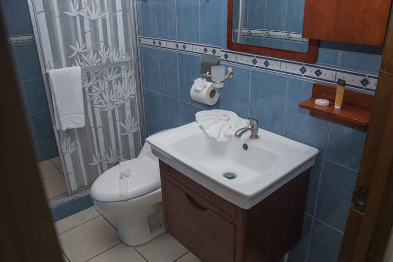 Bathroom 4, Hotel Villa Acacia, Carrillo