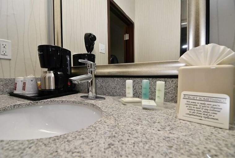 Others 5, Comfort Suites Greenville, Hunt