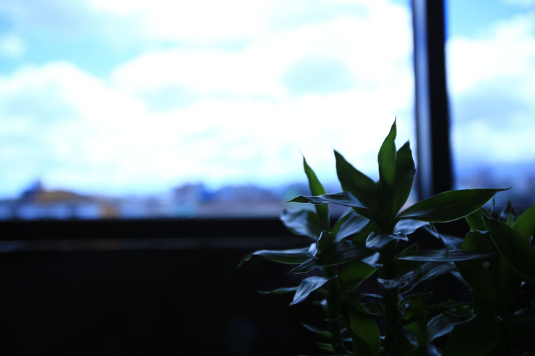 Others 5, Line Hotel, Jeju
