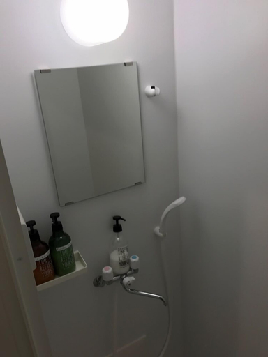 Bathroom 3, Rengeso, Shinagawa