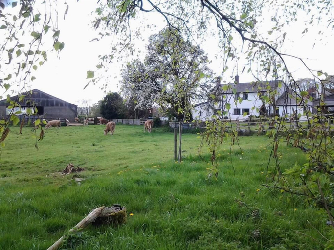 Others 5, Thorps Farm Bed and Breakfast, Hampshire