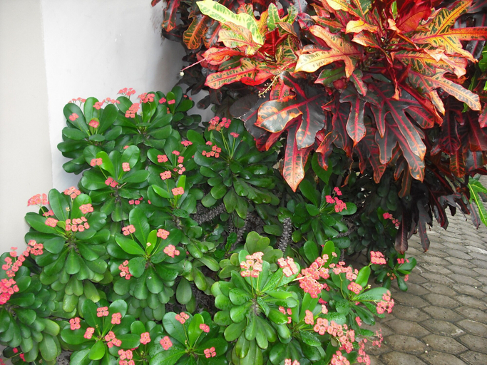 Others 4, Osda Guest House, Accra
