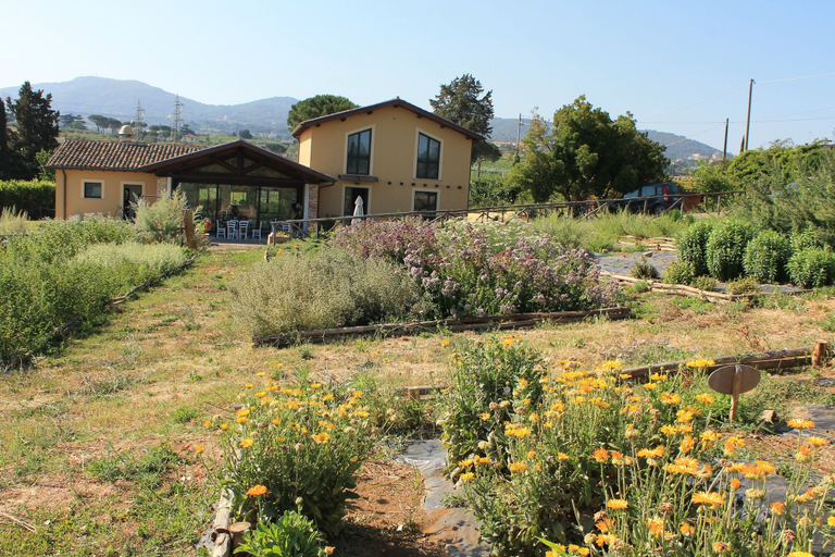 Exterior & Views 2, Country House Erba Regina, Roma