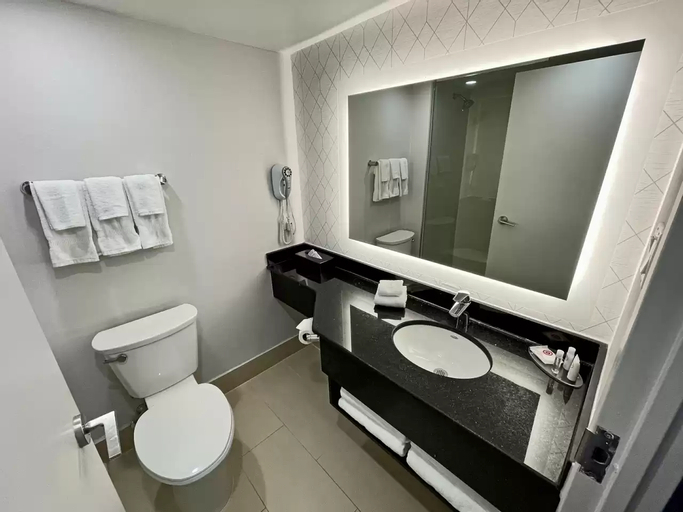 Bathroom 4, Comfort Inn & Conference Centre Toronto Airport, Toronto