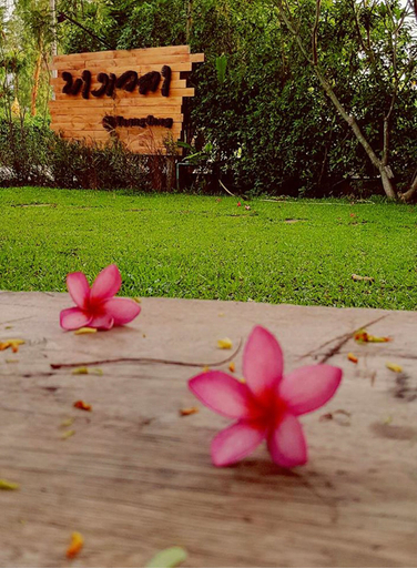 Others 4, Bang Wela at Suanphung Resort, Suan Phung