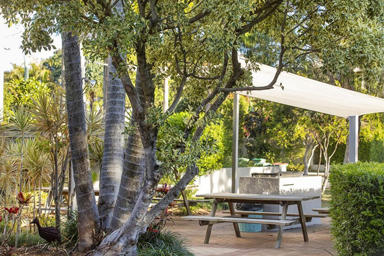 Food & Drinks, Regatta Noosa, Noosa - Noosa-Noosaville