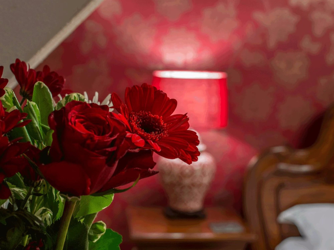 Bedroom 2, Hay Meadow Farm, Devon