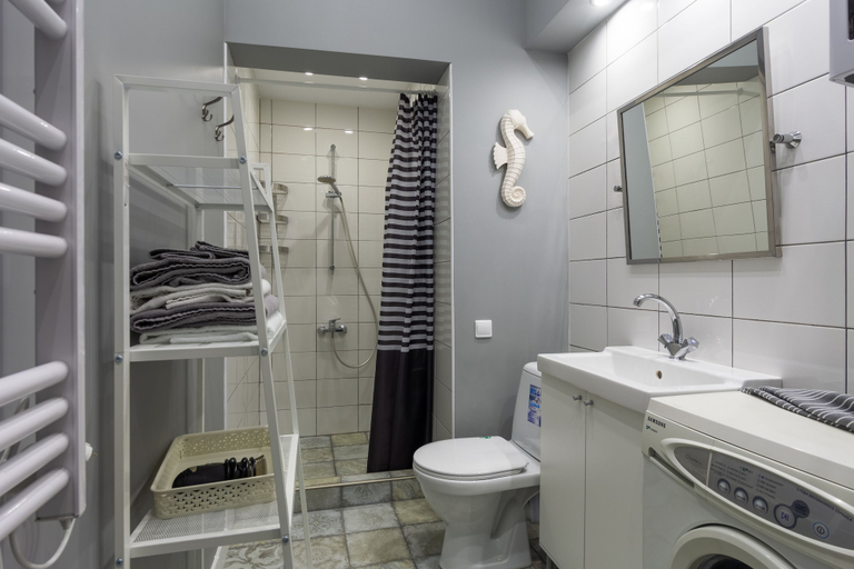 Bathroom 3, City of Rivers Nevsky 65, Sankt-Peterburg gorsovet