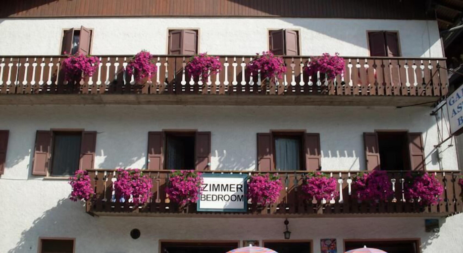 Exterior & Views 2, Garnì Astor, Belluno