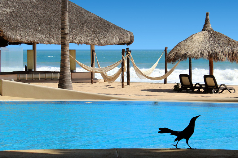 Sport & Beauty 5, Quintas del Mar II, Mazatlán