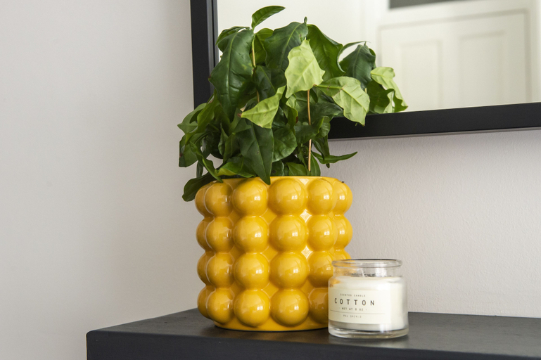 Food & Drinks, Stylish Modern Apartment Parking, Edinburgh