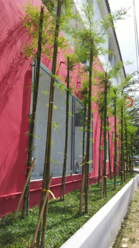 Exterior & Views 2, Sino @ThungSong, Thung Song