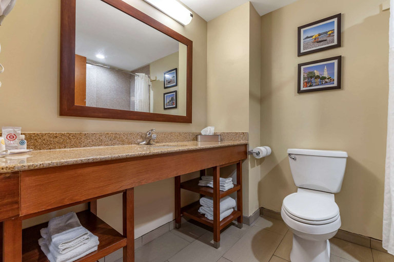 Bathroom 4, Comfort Inn & Suites Orangeburg, Orangeburg