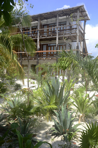 Exterior & Views 2, HOTEL POCNA, Cozumel