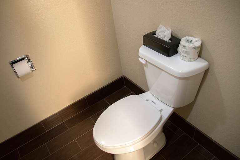 Bathroom 4, Days Inn by Wyndham Joplin, Newton