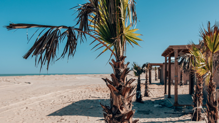 Others 5, MIA Dakhla Resort