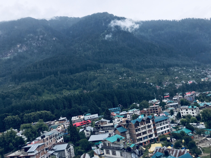 Others, Hotel Hadimba Palace Manali, Kullu