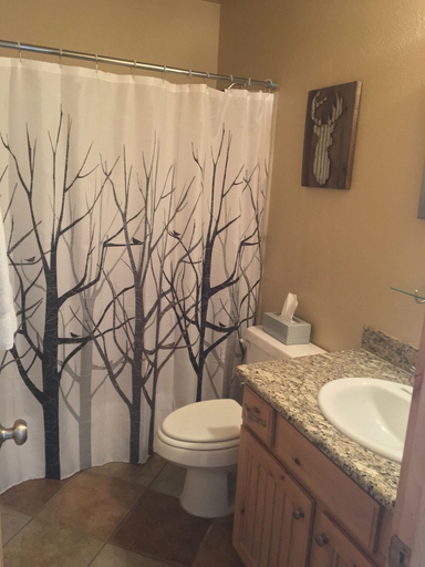 Bathroom 3, Buffalo Ridge - Unit B104, Summit