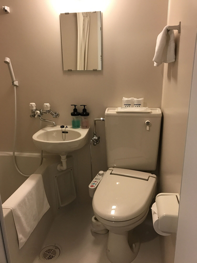 Bathroom 4, Sapporo Oriental Hotel, Sapporo