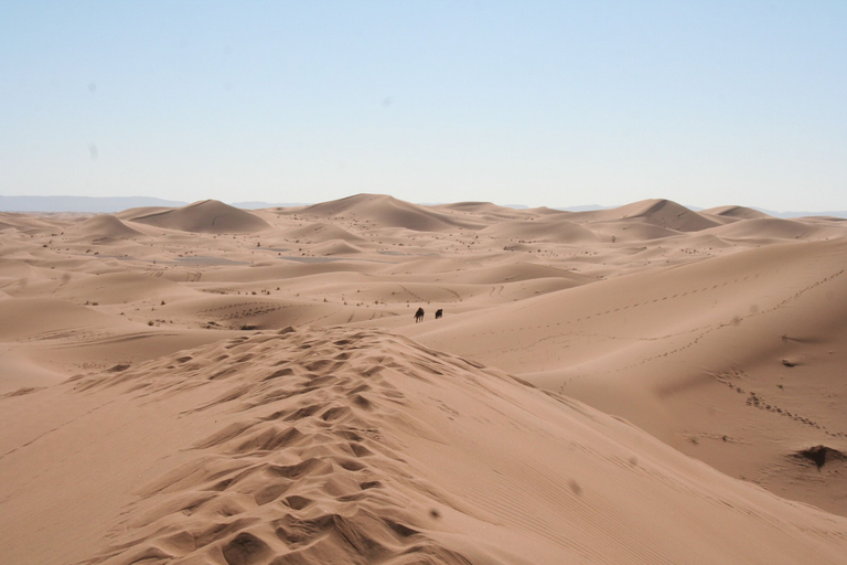 Others 5, Zagora Desert Camp, Ouarzazate