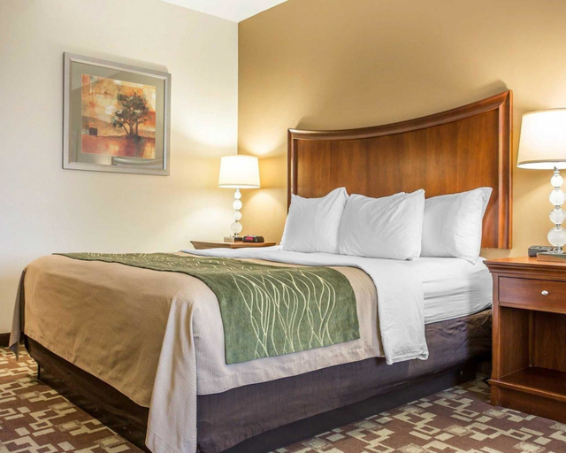 Bedroom 3, Comfort Inn & Suites Orangeburg, Orangeburg