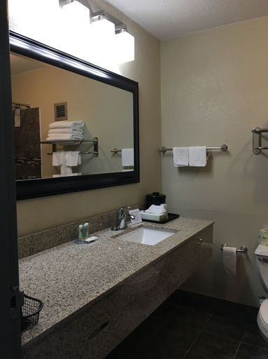 Bathroom 4, Quality Inn & Suites Horse Cave - Cave City, Hart