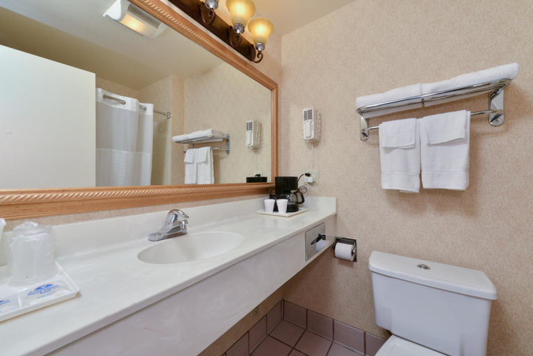 Bathroom 4, Americas Best Value Inn San Jose Convention Center, Santa Clara