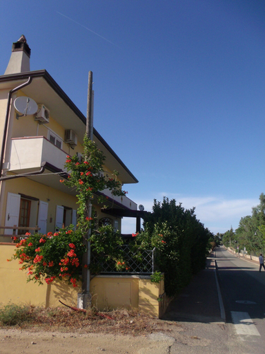Exterior & Views 2, SVS - Budoni Sa Capannizza, Nuoro
